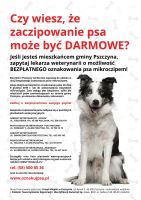 Zaczipuj bezpłatnie psa